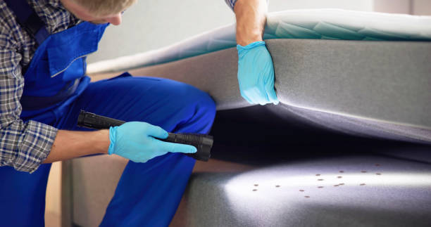 Best Rat Extermination Near Me  in Albertville, MN