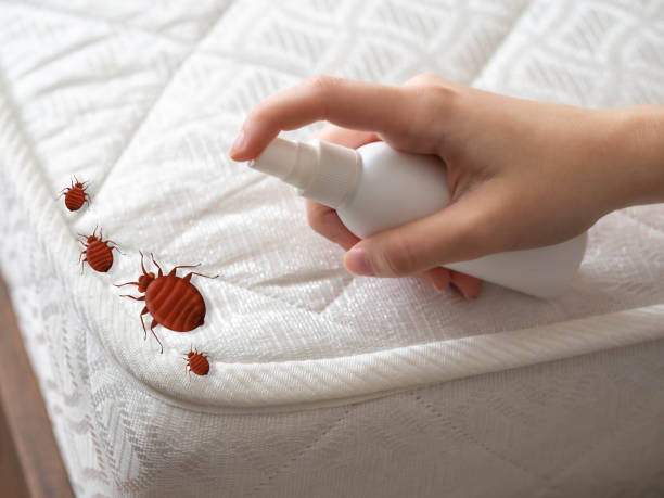 Best Cockroach Control Services  in Albertville, MN