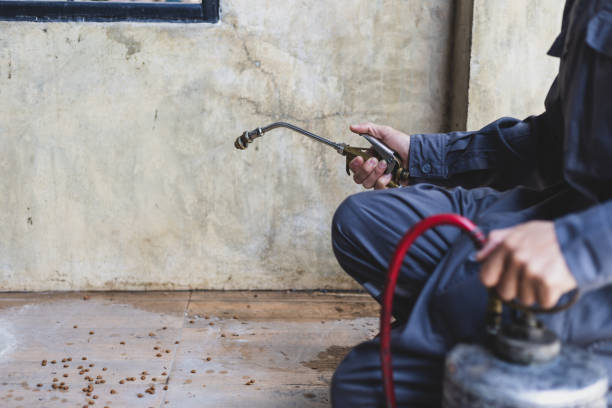Best Affordable Pest Control Services  in Albertville, MN